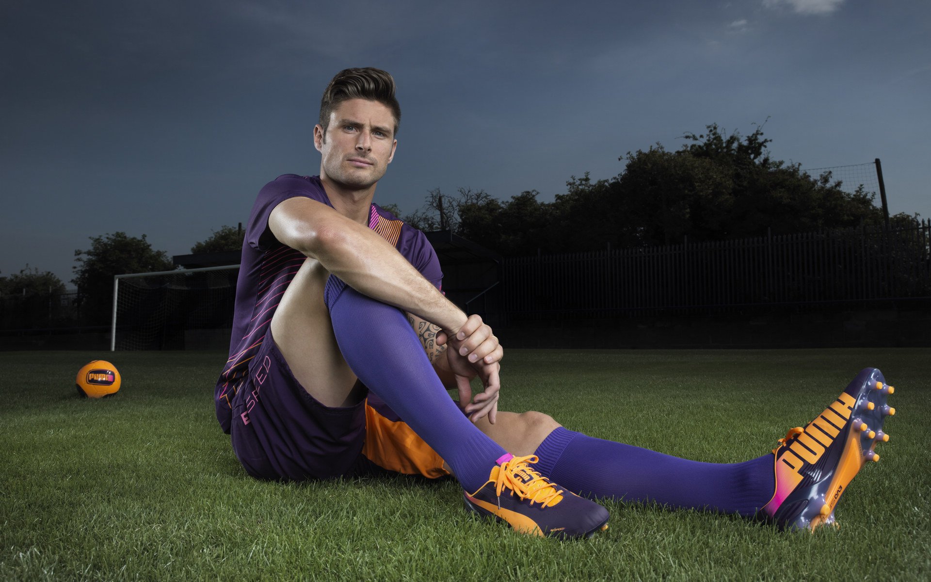 高校运动训练个性化指导系统设计，高校运动训练的项目设置