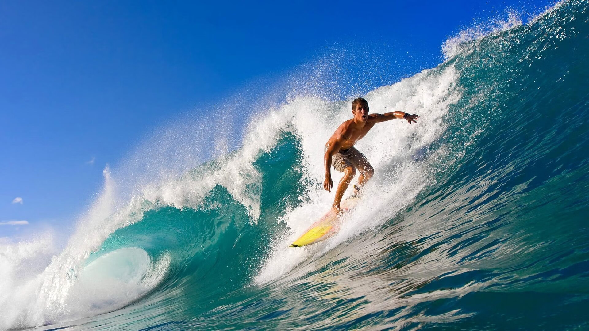 “冰雪王者:北极极寒赛段的速度传奇”,冰雪极地